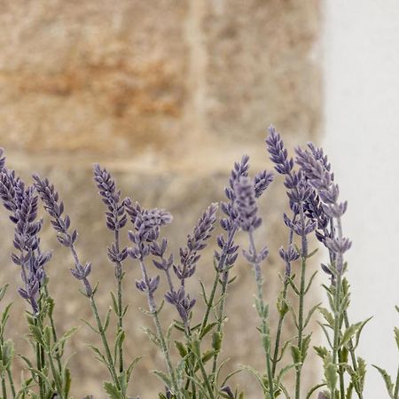 Ferienwohnung Aparrtment Terra- Combine Beach&Old Town Split Exterior foto